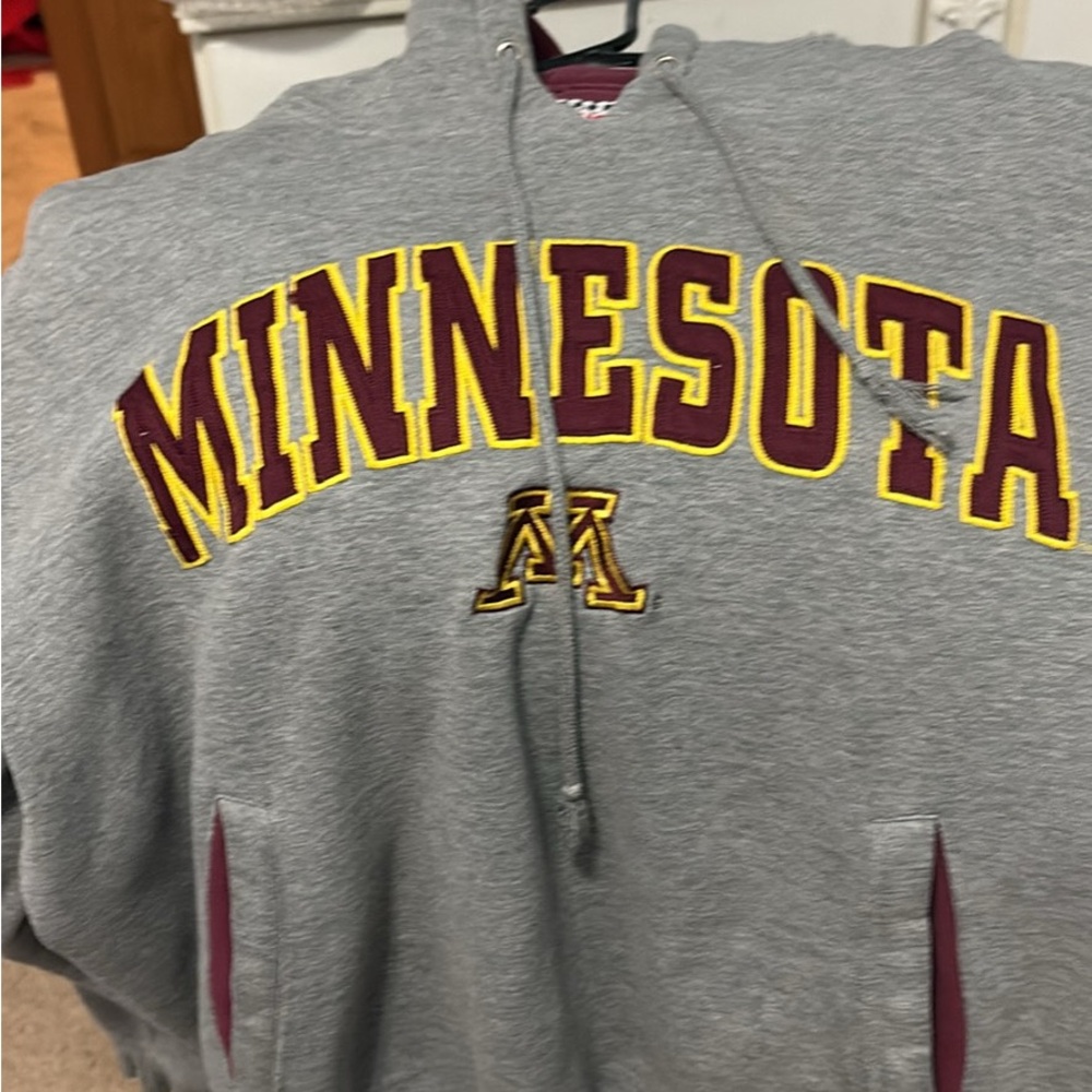 Gray Minnesota Hoodie